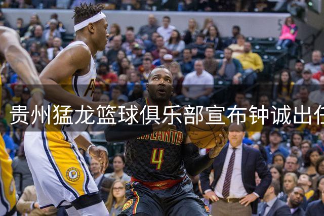 贵州猛龙篮球俱乐部宣布钟诚出任新赛季主教练